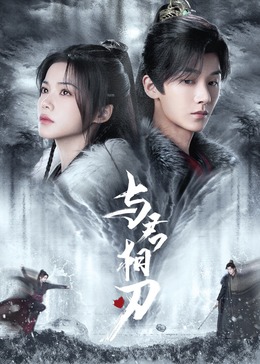 后宫露营2